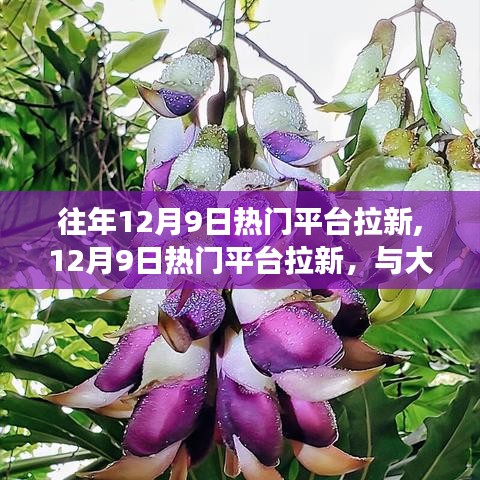 12月9日熱門平臺拉新日，與自然共舞，心靈旅行的啟航時刻
