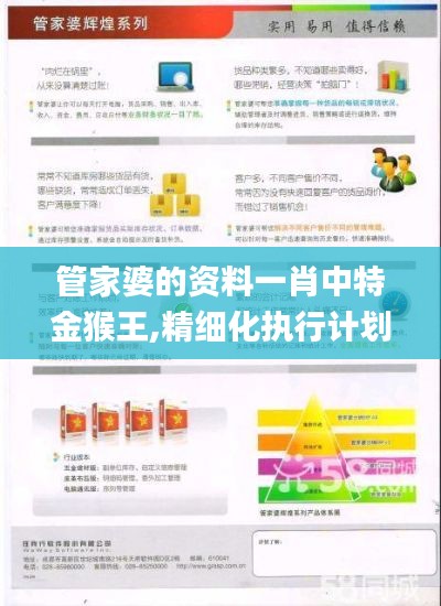 管家婆的資料一肖中特金猴王,精細(xì)化執(zhí)行計(jì)劃_定制版1.685