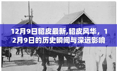 布被瓦器 第4頁