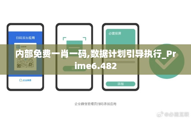 內(nèi)部免費(fèi)一肖一碼,數(shù)據(jù)計劃引導(dǎo)執(zhí)行_Prime6.482