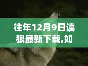 往年12月9日讀狼最新下載指南，初學(xué)者與進(jìn)階用戶的下載教程