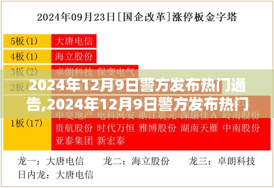 社會(huì)治安新形勢下的多元治理策略探析，警方發(fā)布熱門通告解析與行動(dòng)指南（2024年12月9日）