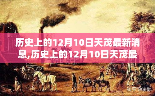 雍容爾雅 第4頁