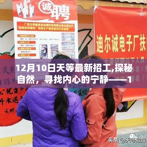 12月10日天等最新招工，探尋自然之美，尋找心靈寧靜之旅