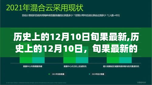 歷史上的12月10日，旬果變遷與影響的深度解讀