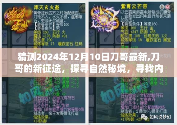 刀哥的新征途，探尋自然秘境，尋找心靈寧?kù)o與樂(lè)趣（最新預(yù)測(cè)2024年12月10日）