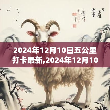 堅持的力量與生活的美好交織，2024年12月10日五公里打卡新篇章開啟