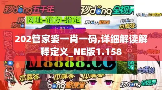 202管家婆一肖一碼,詳細(xì)解讀解釋定義_NE版1.158