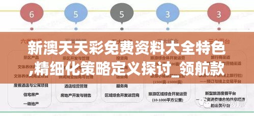 精細化策略定義探討