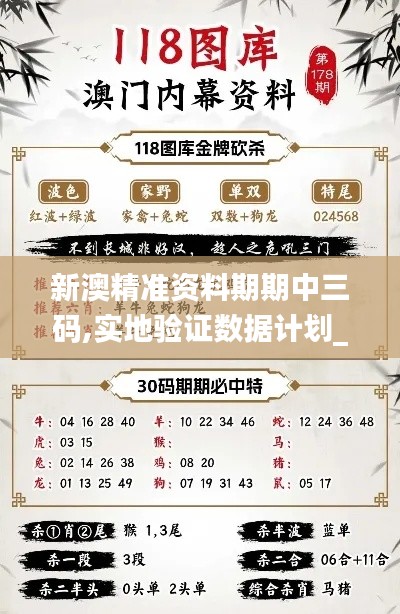新澳精準(zhǔn)資料期期中三碼,實(shí)地驗(yàn)證數(shù)據(jù)計(jì)劃_蘋果版7.965