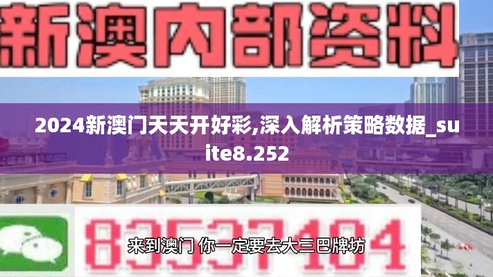 策略數據解析
