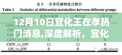 宜化王在孝產品深度解析與評測，產品特性、用戶體驗與目標用戶群體分析——最新熱門消息速遞
