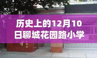 聊城花園路小學(xué)，溫馨冬日里的日常趣事與歷史印記