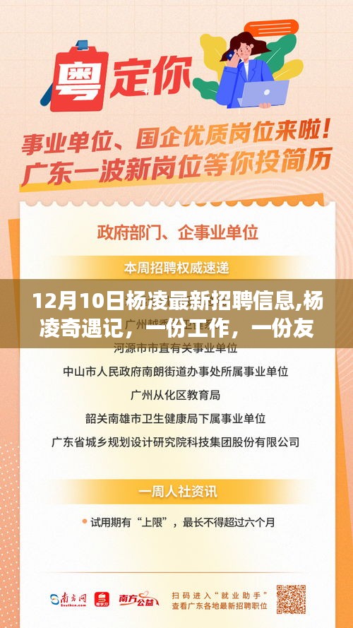 楊凌奇遇記，最新招聘與友情交織的溫馨故事