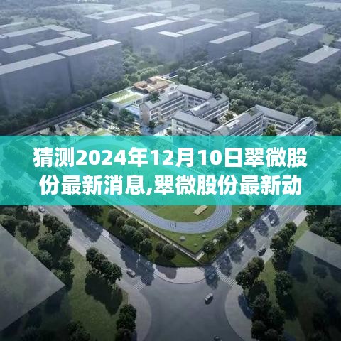 翠微股份未來展望深度評測，最新動態(tài)猜想與深度評測，展望至2024年12月10日