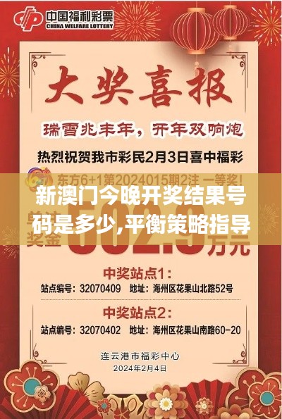 新澳門今晚開獎結(jié)果號碼是多少,平衡策略指導(dǎo)_游戲版10.850