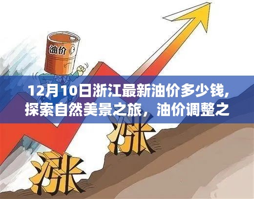 浙江油價調整日，寧靜之旅探尋自然美景，油價與美景的雙重體驗