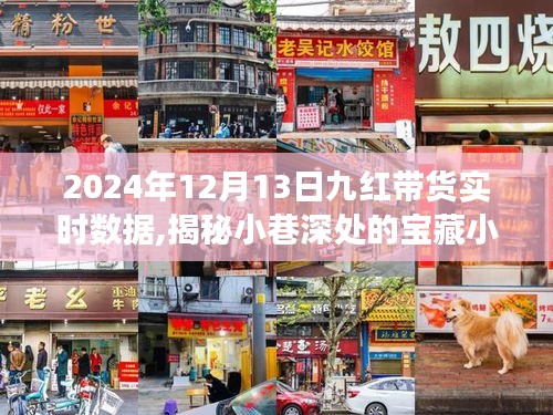 揭秘寶藏小店背后的故事，九紅帶貨實時數據解析與消費盛宴體驗