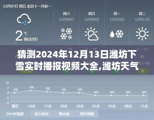 濰坊天氣預(yù)報揭秘，預(yù)測雪落紛飛的冬日畫卷，實時播報視頻一覽