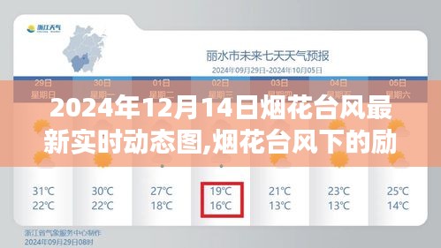 煙花臺風下的勵志之光，實時動態(tài)圖記錄學習成長與自信塑造之旅