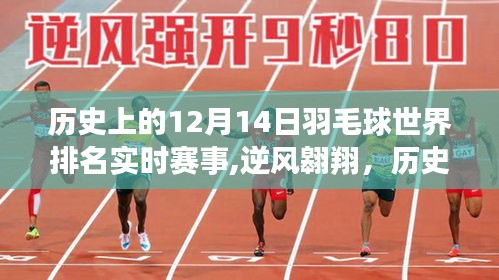 歷史上的羽毛球巔峰對決，逆風(fēng)翱翔背后的故事，回顧十二月十四日世界排名實(shí)時(shí)賽事