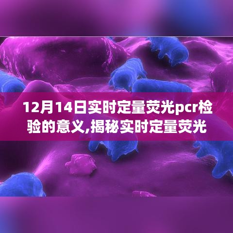 披肝瀝膽 第3頁