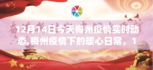 梅州疫情下的暖心日常，實時動態(tài)與溫馨時光