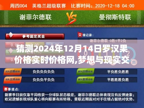 勵志之旅，預測羅漢果價格實時走勢，夢想與現實交匯于2024年12月14日羅漢果價格網