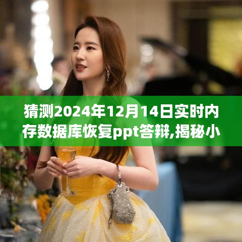 揭秘小巷深處的寶藏，特色內存數據庫恢復PPT答辯體驗館在2024年展望與展望的答辯分享