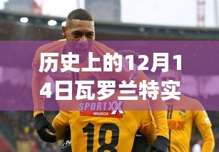 歷史上的12月14日瓦羅蘭特實時商店詳解，入門指南與操作教程
