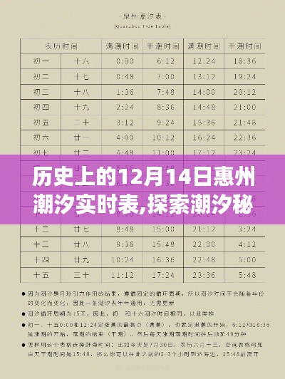 歷史上的12月14日惠州潮汐之旅，潮汐實時表與內心的寧靜探索