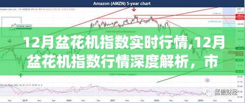 12月盆花機指數深度解析，實時行情、市場脈絡與未來展望