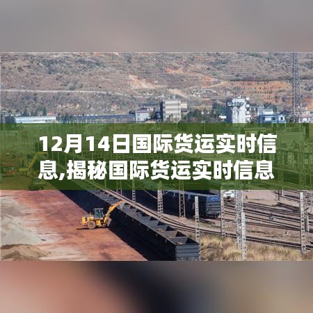 12月14日國際貨運(yùn)實(shí)時(shí)解析，全球物流動(dòng)態(tài)揭秘與洞悉之路