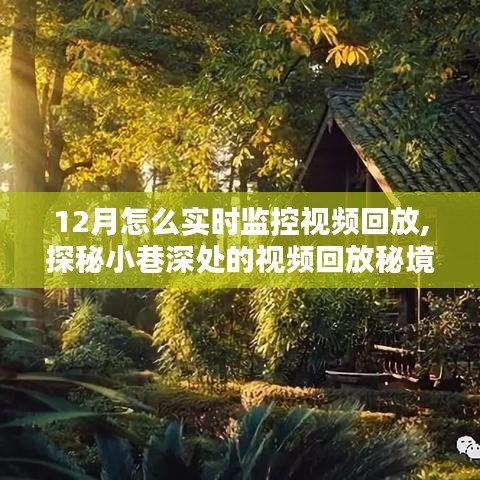 探秘小巷深處的視頻回放秘境，揭秘十二月實時監控新體驗