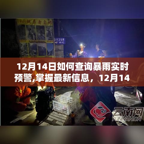 12月14日暴雨實(shí)時(shí)預(yù)警查詢攻略，掌握最新信息，安全度過(guò)雨季