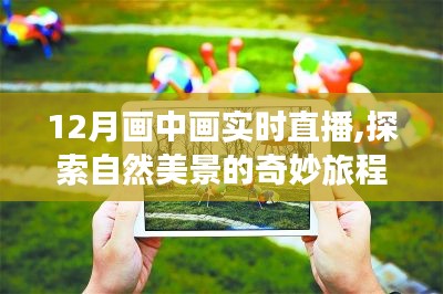 十二月畫中畫實(shí)時(shí)直播，探尋自然美景的奇幻之旅