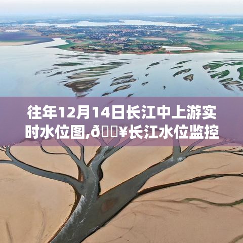 揭秘長江中上游水位動態，智能實時水位圖系統監控新星，展示往年12月14日水位圖