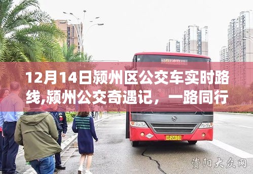 金石為開 第4頁
