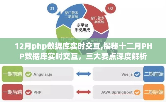 揭秘十二月PHP數據庫實時交互深度解析，三大要點一網打盡