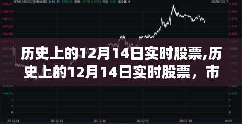 歷史上的12月14日實(shí)時(shí)股票解析，市場風(fēng)云三大看點(diǎn)揭秘