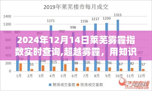 建議，超越霧霾，知識(shí)照亮未來(lái)——萊蕪霧霾中的勵(lì)志故事（實(shí)時(shí)霧霾指數(shù)查詢(xún)）