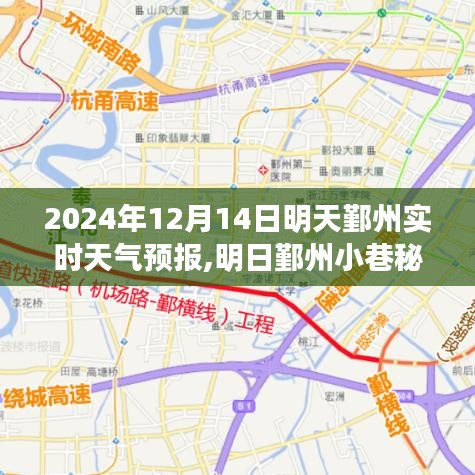 明日鄞州小巷秘境，天氣預(yù)報與美食的雙重驚喜（2024年12月14日）