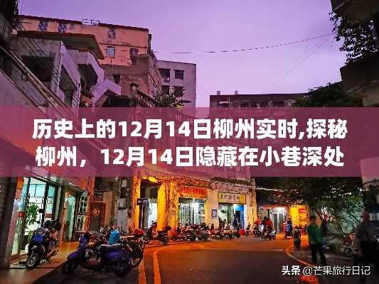 探秘柳州小巷深處的獨(dú)特風(fēng)味之旅，歷史上的12月14日實(shí)時(shí)記錄