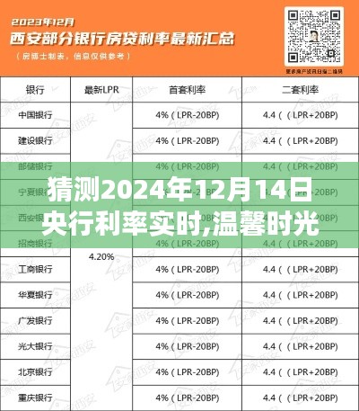 溫馨時光與家的溫暖，央行利率猜猜樂，探索2024年12月14日利率實時動態
