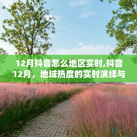 抖音12月地域熱度實時演繹，數字時代的印記與趨勢分析