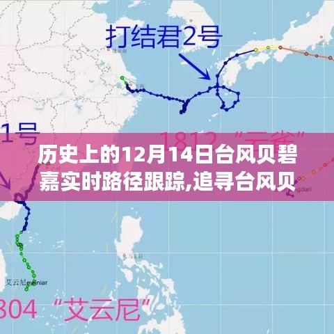 追尋臺風貝碧嘉的腳步，歷史軌跡下的心靈與自然美景之旅