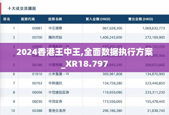 2024香港王中王,全面數據執(zhí)行方案_XR18.797