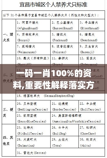 一碼一肖100%的資料,重要性解釋落實(shí)方法_豪華版5.398