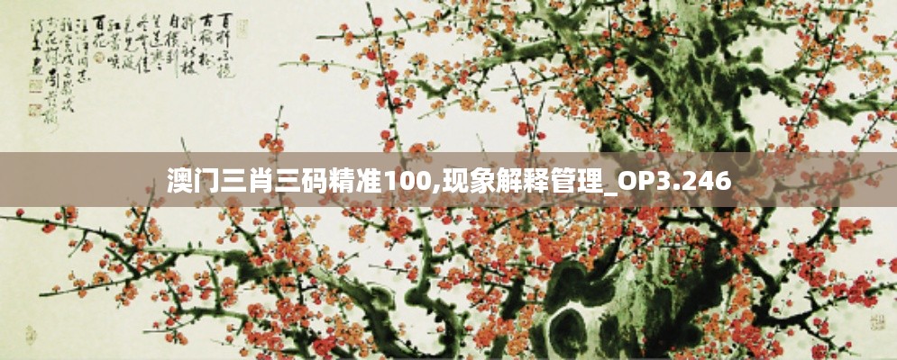 澳門(mén)三肖三碼精準(zhǔn)100,現(xiàn)象解釋管理_OP3.246