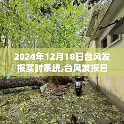 臺風發報實時系統與風的奇妙約會，探索自然美景之旅（2024年12月18日）